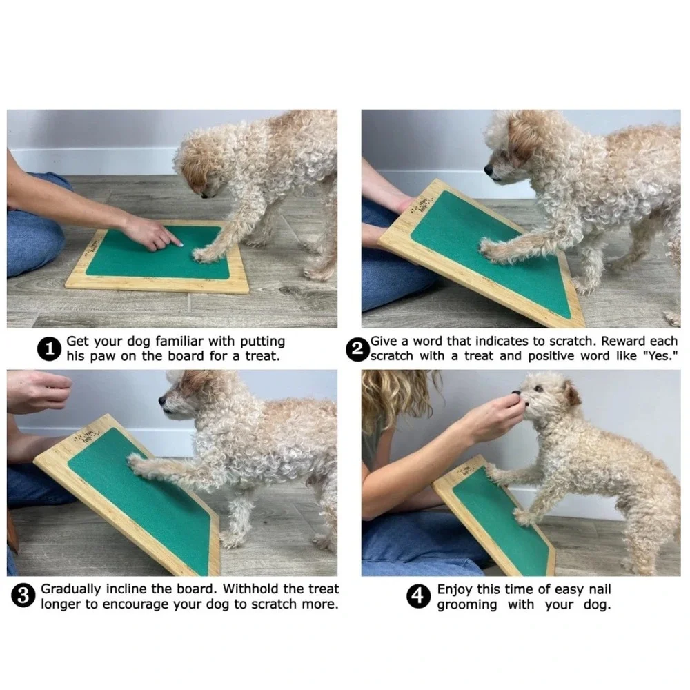 Zenly Paws Bamboo Dog Nail Scratch Board Green with 2 Replacement‎ Pads